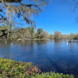 Swan Lake Iris Gardens - Sumter