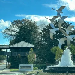 Swan Lake Iris Gardens - Sumter