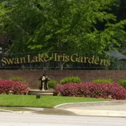 Swan Lake Iris Gardens - Sumter