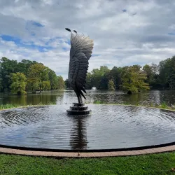 Swan Lake Iris Gardens - Sumter