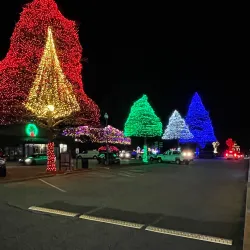 Swan Lake Iris Gardens - Sumter