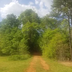 Palmetto Trail - Tyger River Segment - Union