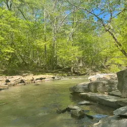 Palmetto Trail - Tyger River Segment - Union