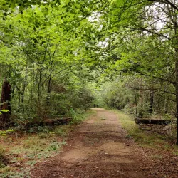 Palmetto Trail - Tyger River Segment - Union