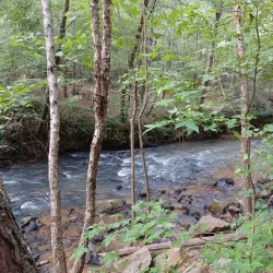 Palmetto Trail - Tyger River Segment - Union