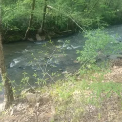 Palmetto Trail - Tyger River Segment - Union