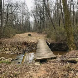 Palmetto Trail - Tyger River Segment - Union