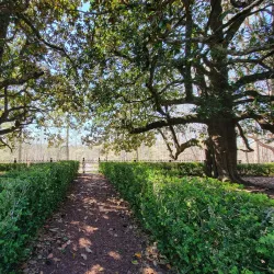 Rose Hill Plantation State Historic Site - Union