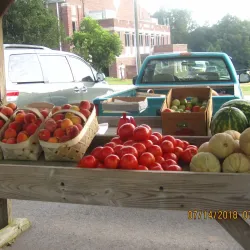 Union County Farmers Market - Union