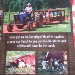 Union County Farmers Market - Union