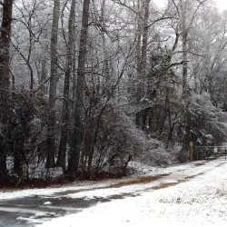 Union County Farmers Market - Union