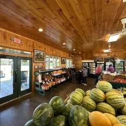 Downtown York Farmers Market - York