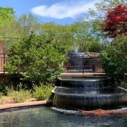 Glencairn Garden - York