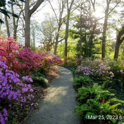 Glencairn Garden - York