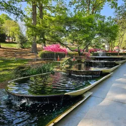 Glencairn Garden - York