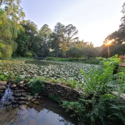 Glencairn Garden - York