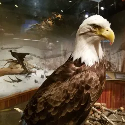 York County Museum - York