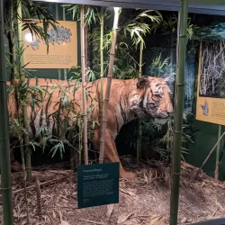 York County Museum - York