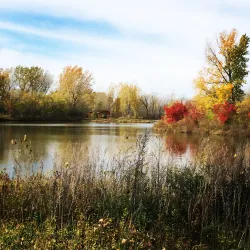 Brookings City Park - Brookings