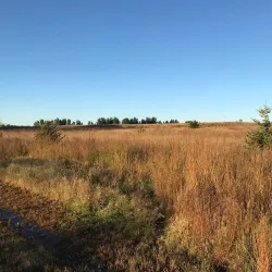 Brookings City Park - Brookings