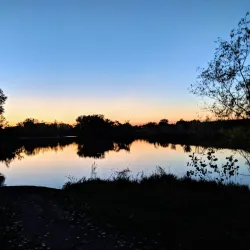 Brookings City Park - Brookings