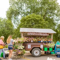 Brookings Farmers Market - Brookings