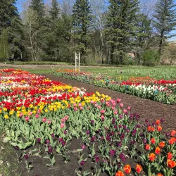 McCrory Gardens and South Dakota Arboretum - Brookings
