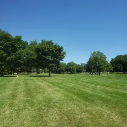 South Dakota State University - Brookings