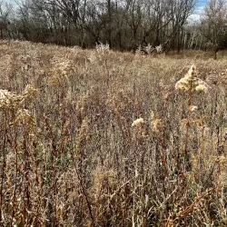 Volga Lake Recreation Area - Brookings