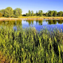 Lake Norden Golf Course - Lake Norden