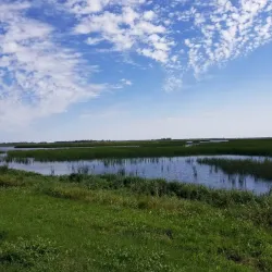 Swan Lake Wildlife Refuge - Lake Norden