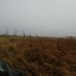 Swan Lake Wildlife Refuge - Lake Norden