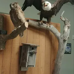 Swan Lake Wildlife Refuge - Lake Norden