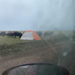Fort Pierre National Grassland - Pierre