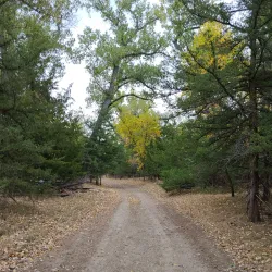 LaFramboise Island - Pierre