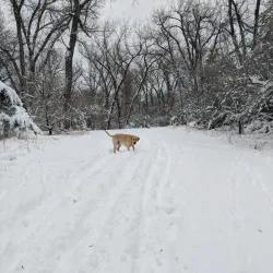 LaFramboise Island - Pierre
