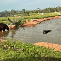 Bear Country USA - Rapid City