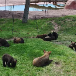 Bear Country USA - Rapid City