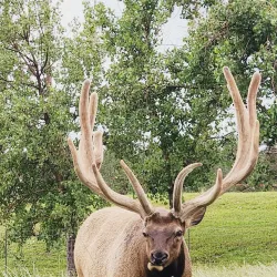 Bear Country USA - Rapid City