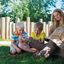 Reptile Gardens - Rapid City