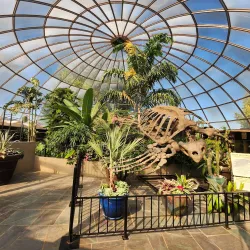 Reptile Gardens - Rapid City