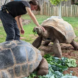 Reptile Gardens - Rapid City