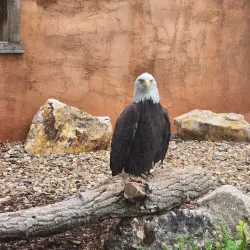 Reptile Gardens - Rapid City