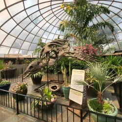 Reptile Gardens - Rapid City