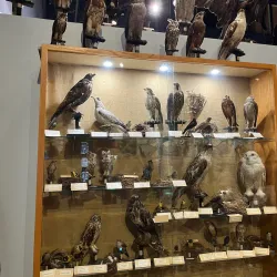 The Journey Museum & Learning Center - Rapid City