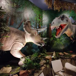 The Journey Museum & Learning Center - Rapid City