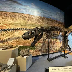 The Journey Museum & Learning Center - Rapid City