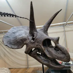 The Journey Museum & Learning Center - Rapid City