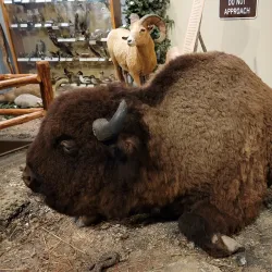 The Journey Museum & Learning Center - Rapid City