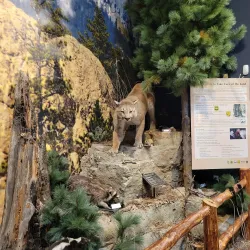 The Journey Museum & Learning Center - Rapid City